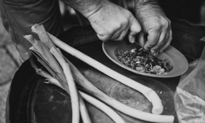 foto-nota-revista-citrica