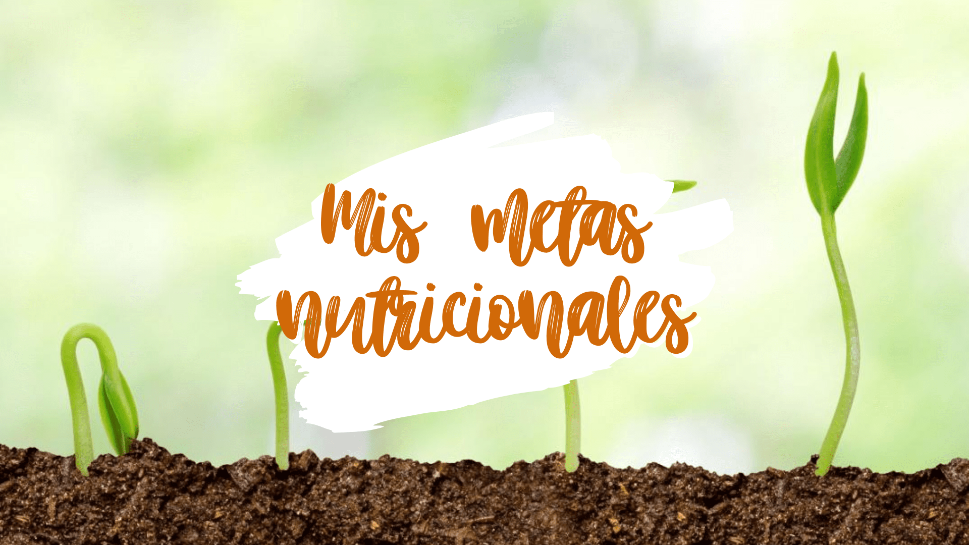 Metas nutricionales
